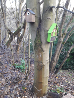 Bird box and bug hotel